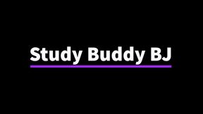 Study Buddy BlowJob
