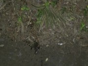 Soft white cock pissing peeing outside  🍆💦 drink my piss