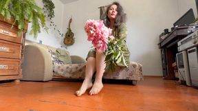 crushing pink spring flowers avi