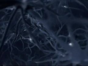 The Vulvoid Transform - living parasitic panties change a man into a girl