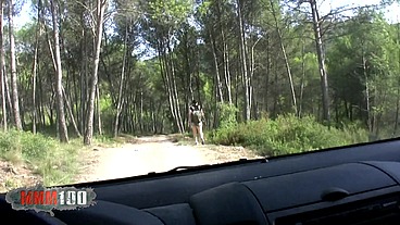 Backpacking in the woods