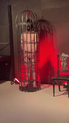BDSM Best off