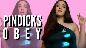 Pindicks Obey - SPH - Goddess Venus