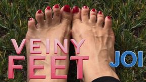 Veiny Feet JOI