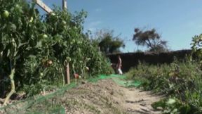 Castign porn fo Nath an and Jimy