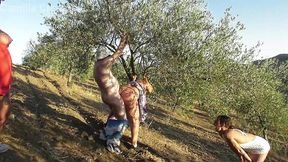 mfff a walk in the olive grove