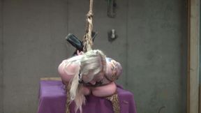 Busty Stripper