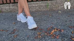 Fruits on her Way 2