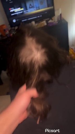 Rough Doggy and Fingering