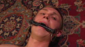 Lorelei Lee: Pleasure of the Divine Bitches