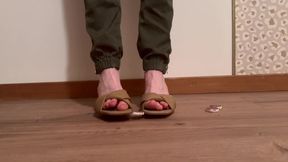 Requête *** Mia et les amis salami *** request