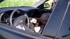 Cleo licks feet in the car