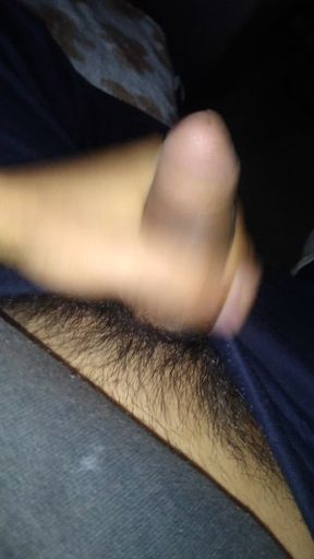 Pleasure in the Afternoon