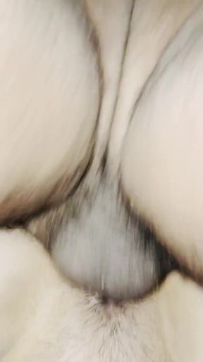 Indian Nepali Desi Wife cowgirl and doggy   Clip 1