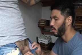 Inked Latin acquires extra specie To Ride Strangers cumbot