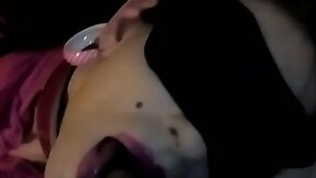 Amateur Shemale drinks piss and sucks black cock