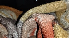 Desi bhabhi ka gand mara