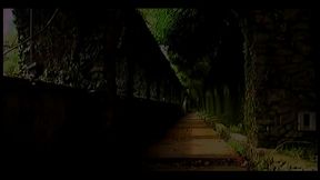 thammy brasil takes anal in the woods with don picone