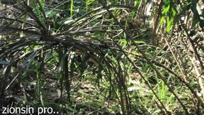 African lovers wild sex in the bush