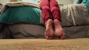 Burgundy Tights Toe Point Barefeet