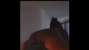 Bbw bouncing on dildo