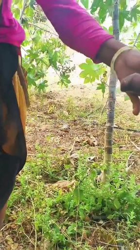 Desi outdoor sex video in hindi audio xxx video, viral bhabhi ki desi chudai   Clip 2