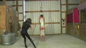 Whipped In Aleana&#039;s Barn Part 1 (WMV)