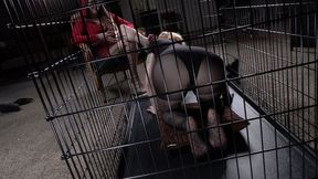 Spending Time With My Slave, 1st