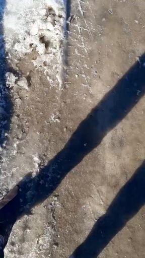 Winter walk