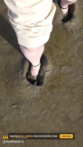 Short Test in the Mudflats on the Beach of Horumersiel