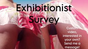 Exhibitionist Survey Upkirt Tease WMV