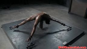 Black beauty wailing in ecstasy