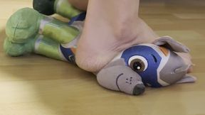 Paw Patrol Dog has to suffer