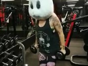 Cardio funny bunny