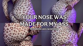 Be My Ass Sniffer - Femdom Ass Worship