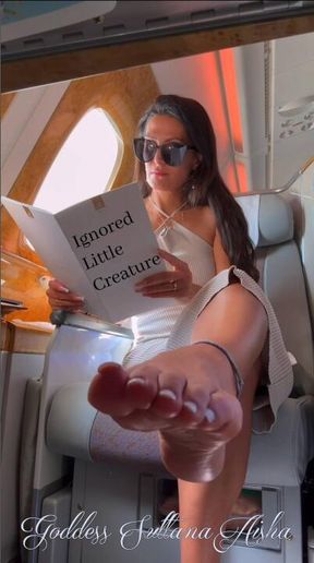 I Ignored the Tiny Creature During My Business Class Flight – Sultana soles POV