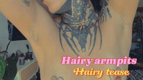Hairy Armpit Tease & Natural Tits – Close-Up Obsession