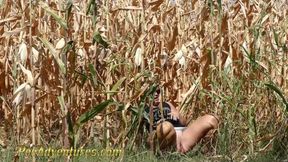 Pee in a corn field