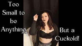 Too Small to Be Anything but a Cuckold