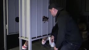 Fucked bareback by Tahar in public toilets