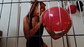 Blow to Pop 4 Red Balloons in the Fox Cage No Cuts, ASMR