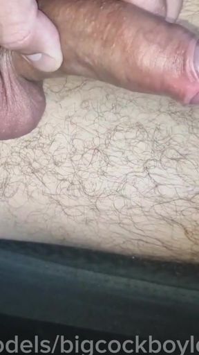 I fucked a handsome guy in the park without a condom on a hot cruise   Clip 3