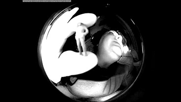 Vore giantess monster VR