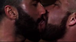 Osos teniendo sexo caliente