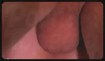 Kaiden & Kayden's Steamy Student Affair