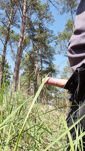Quick jerk off in the woods