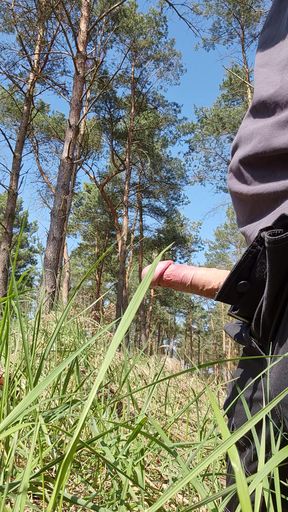 Quick jerk off in the woods