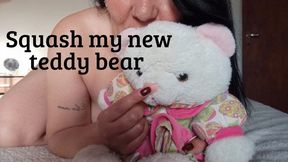 Squash my new teddy bear