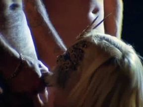 Behind The Scenes Of French Porn