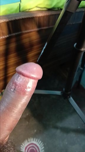 Holding and stroking the penis, and engaging in sexual intercourse.